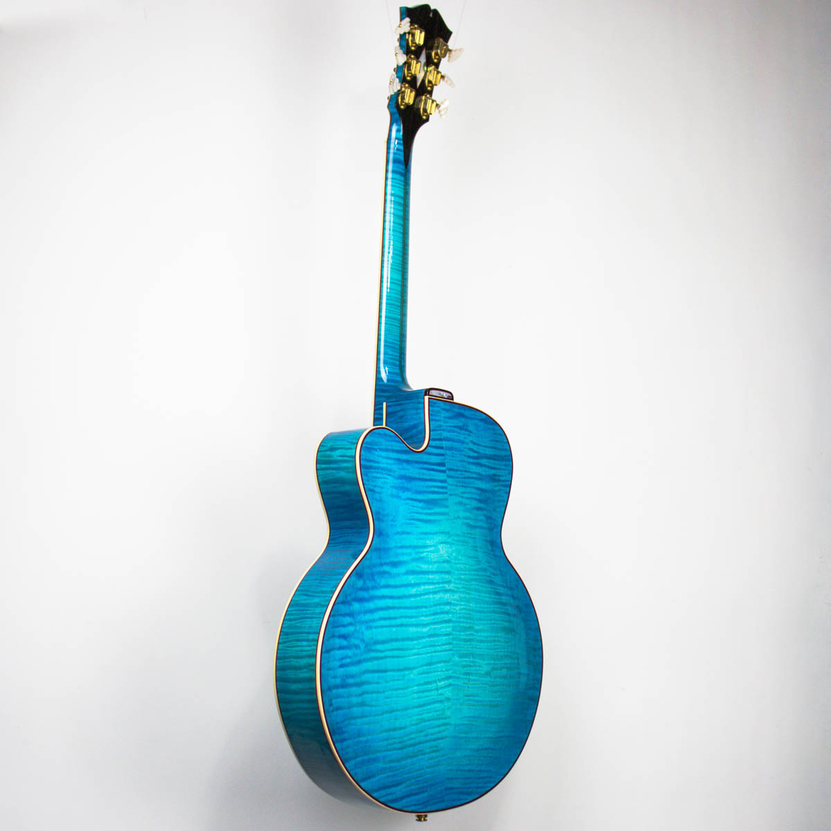 Walker full back left